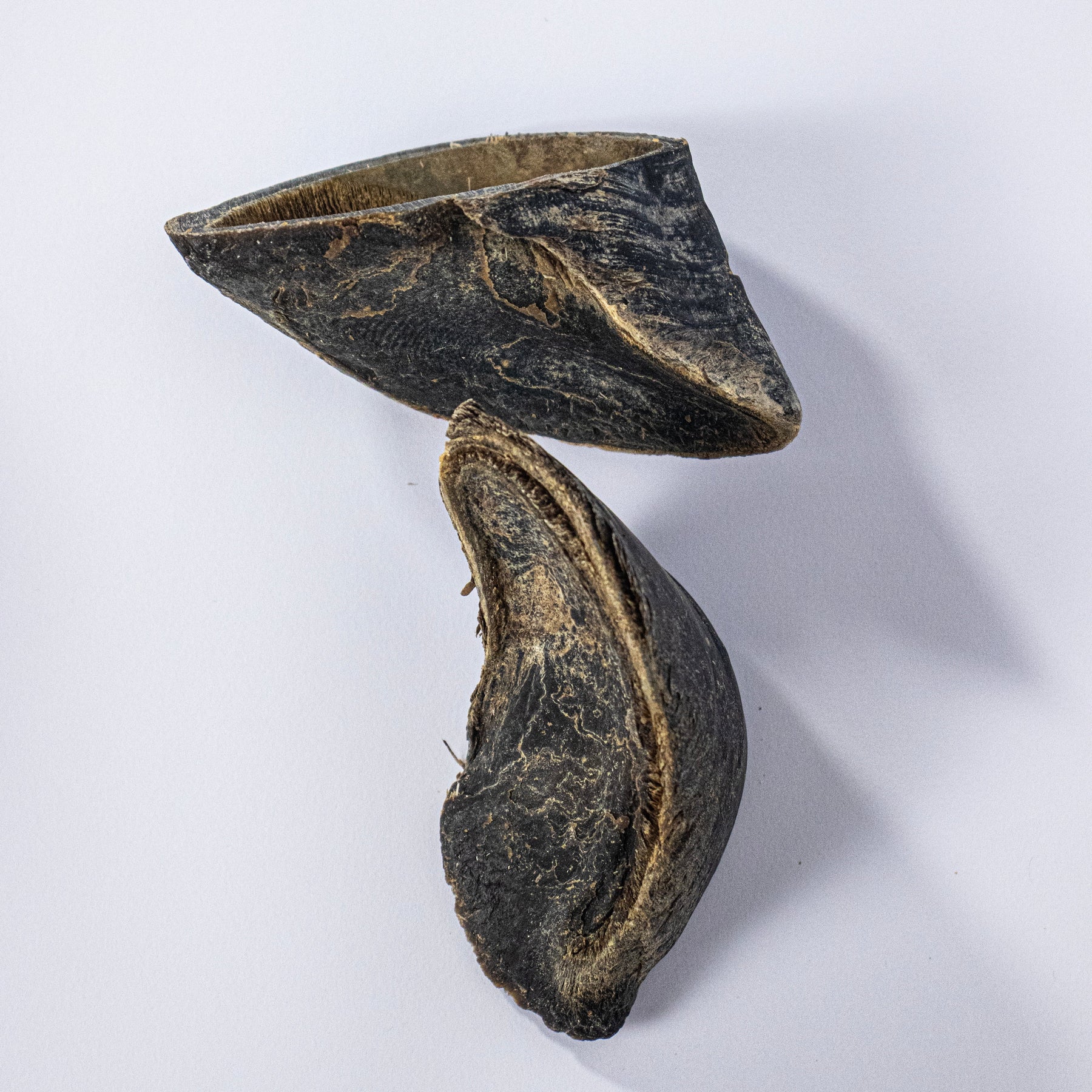 Casco Bovino para Cães, Petisco Natural de Mastigação Intensa e Alta Durabilidade