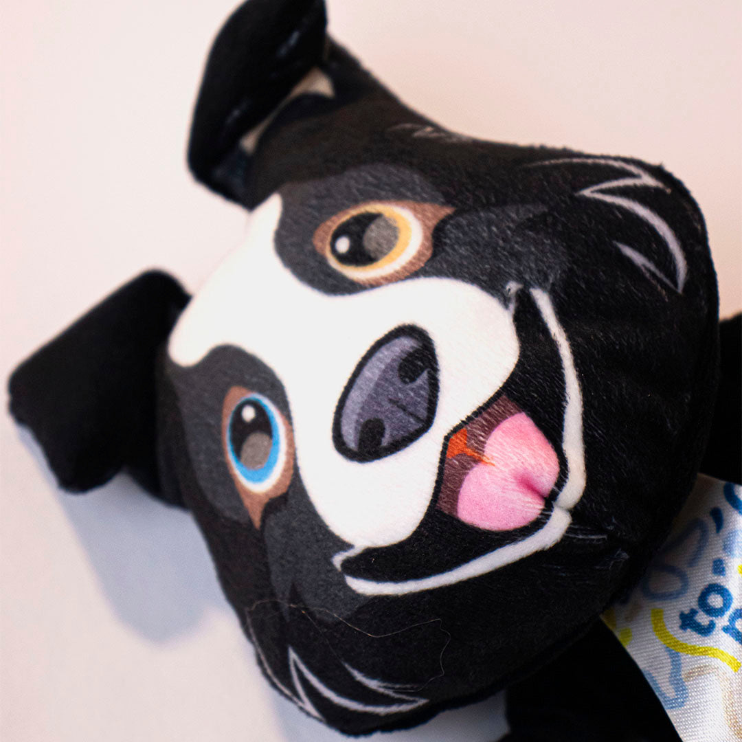 Topelúcia Raças ® - Pelúcia Resistente, Estimulante e o Novo Melhor Amigo do Seu Pet - Border Collie