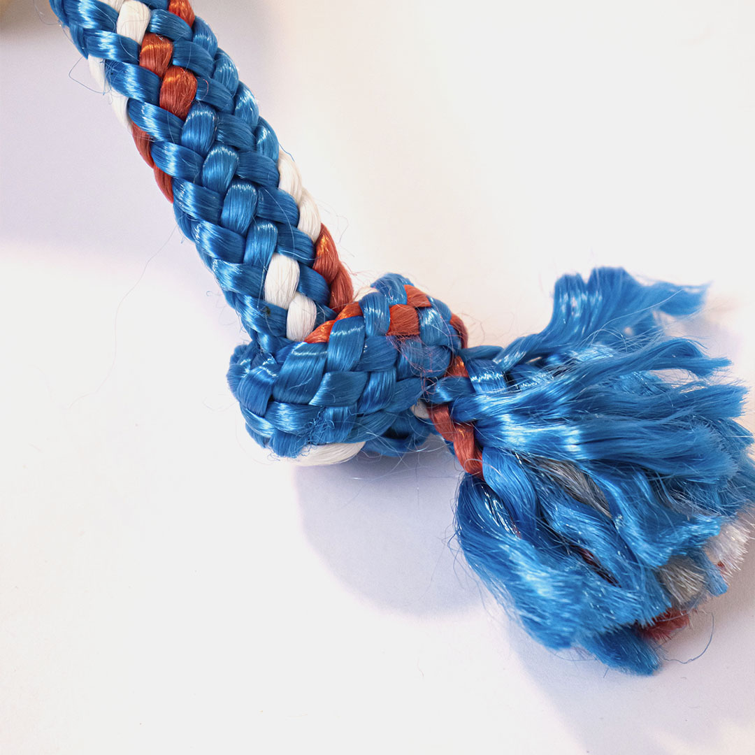 Topelúcia Raças ® - Pelúcia Resistente, Estimulante e o Novo Melhor Amigo do Seu Pet - Bulldog Inglês