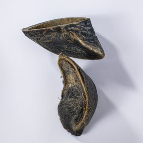 Casco Bovino para Cães, Petisco Natural de Mastigação Intensa e Alta Durabilidade