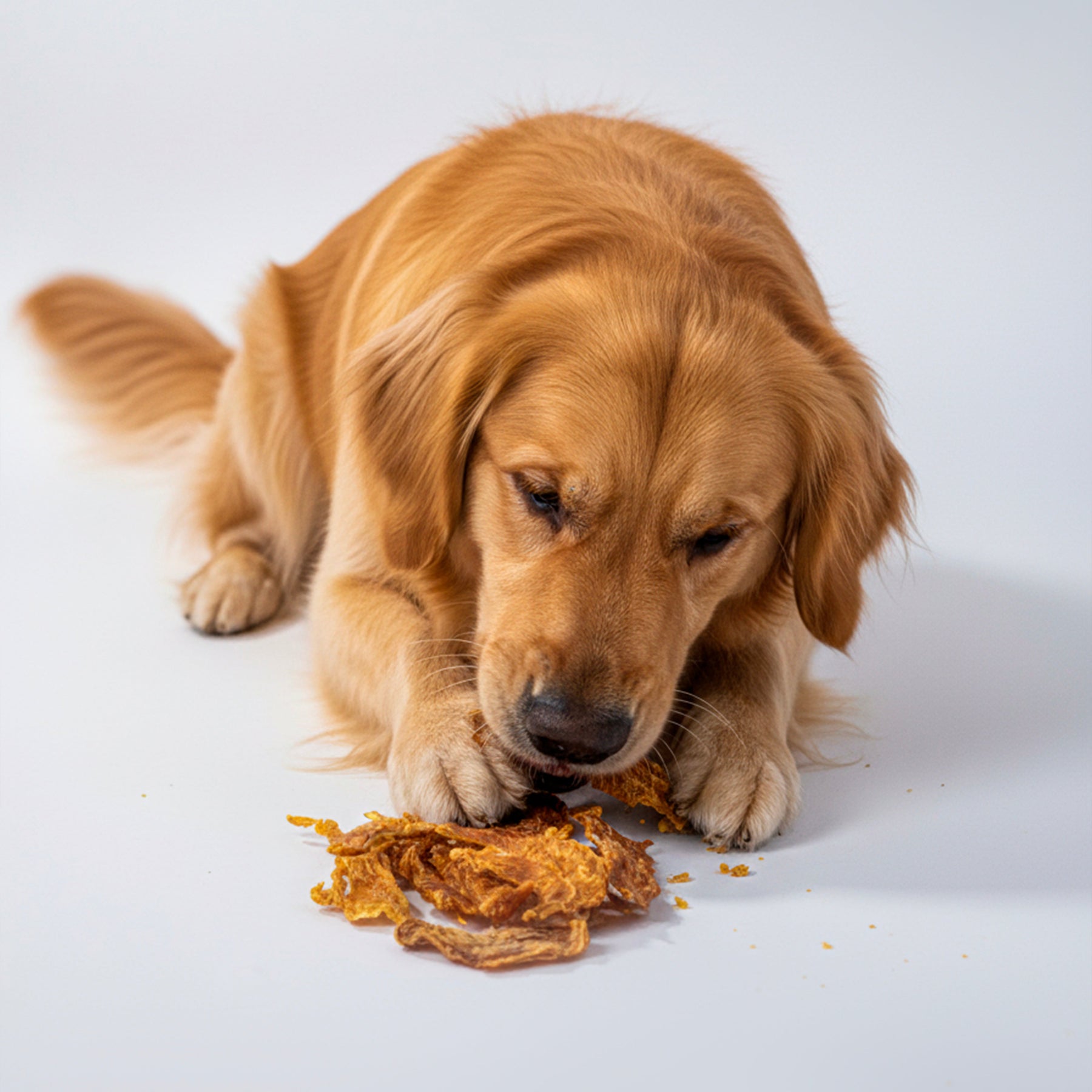 Peito de Frango Desidratado e Defumado para Cães, Petisco Natural Rico em Proteínas